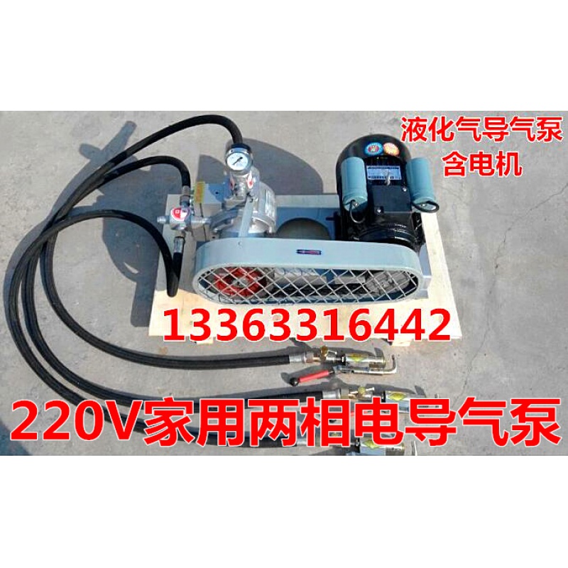 战驴 220v液化气泵导气泵48v车载倒气泵 充气泵充气管煤气高压泵丙烷