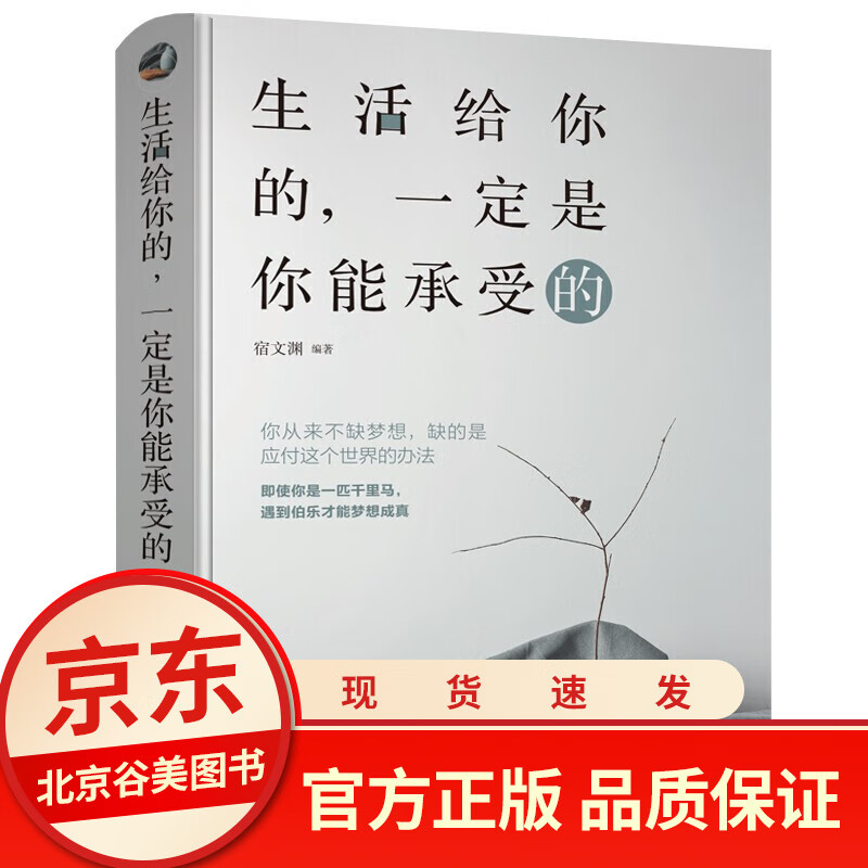 生活给你的，一定是你能承受的 单本正版成人励志心灵鸡汤青春文学小说书籍