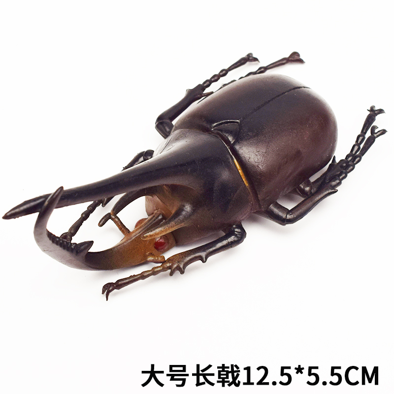 超大昆虫玩具模型仿真甲虫天牛套装甲壳虫独角仙吓人整蛊玩具爬虫