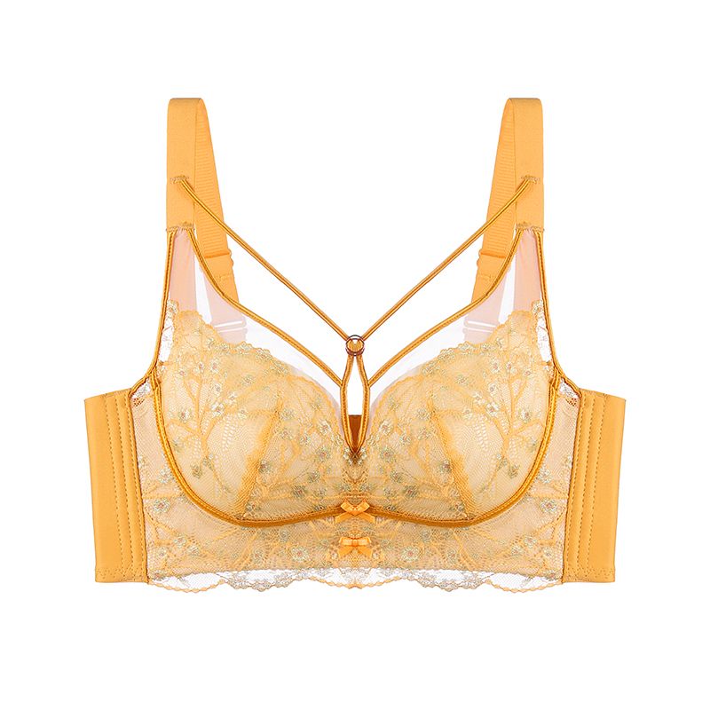 款仙黛尔新款内衣女小胸聚拢上托防外扩收副乳调整型无钢圈平胸显大