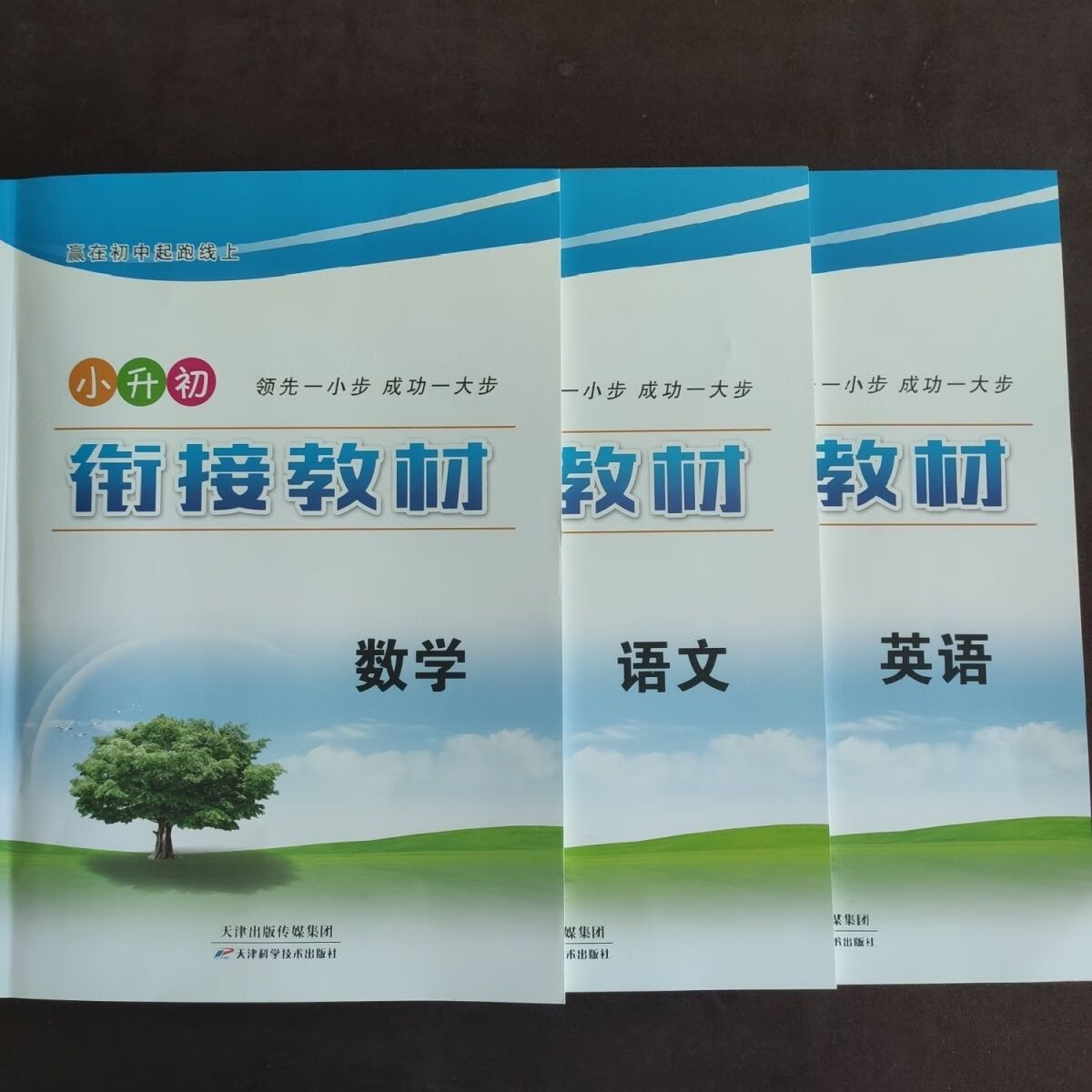 2024赢在初中起跑线上 小升初衔接教材 深红色