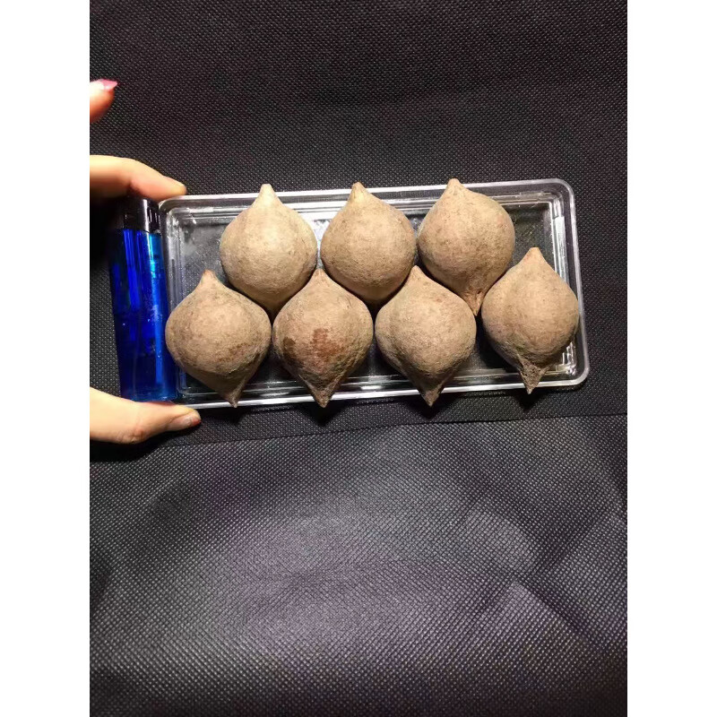 进口大橄榄核 南美印尼红油核 单颗原料 特大超圆 壁厚 图片色