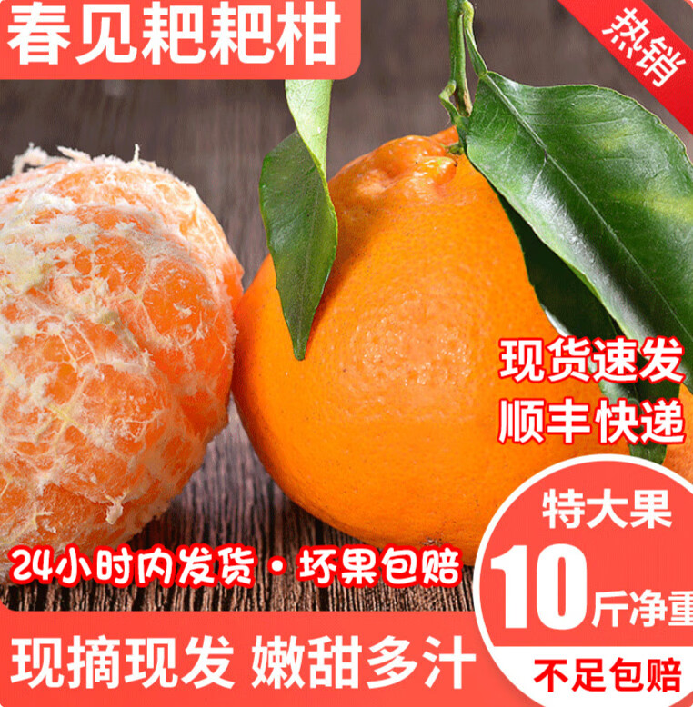 果满汁春见多少钱一箱(果满是什么意思)