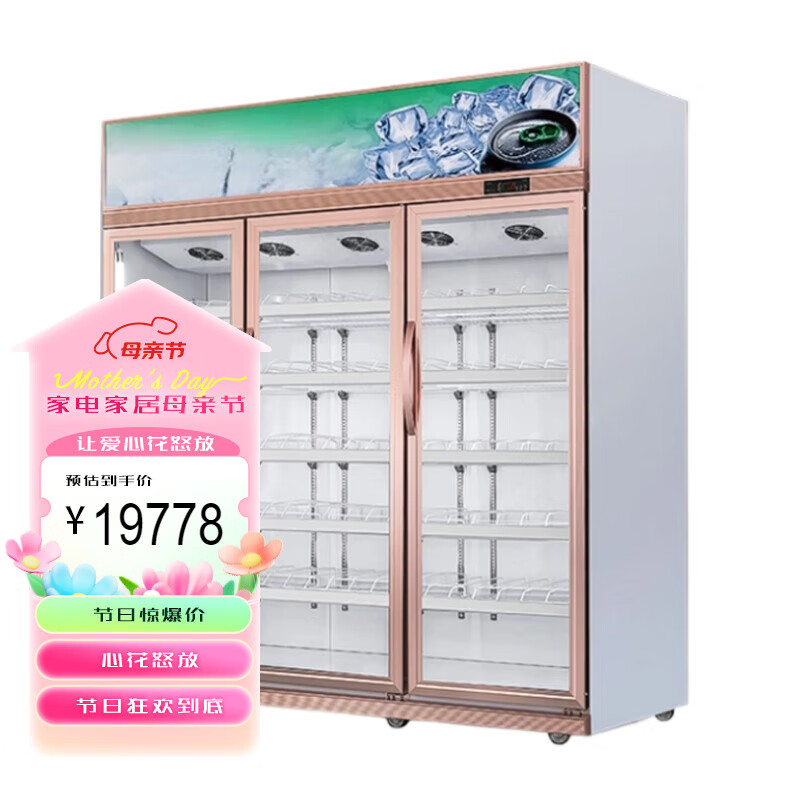 苏勒 冷藏展示柜风冷三门啤酒保鲜冰箱立式商用冰柜冷柜超市   三门