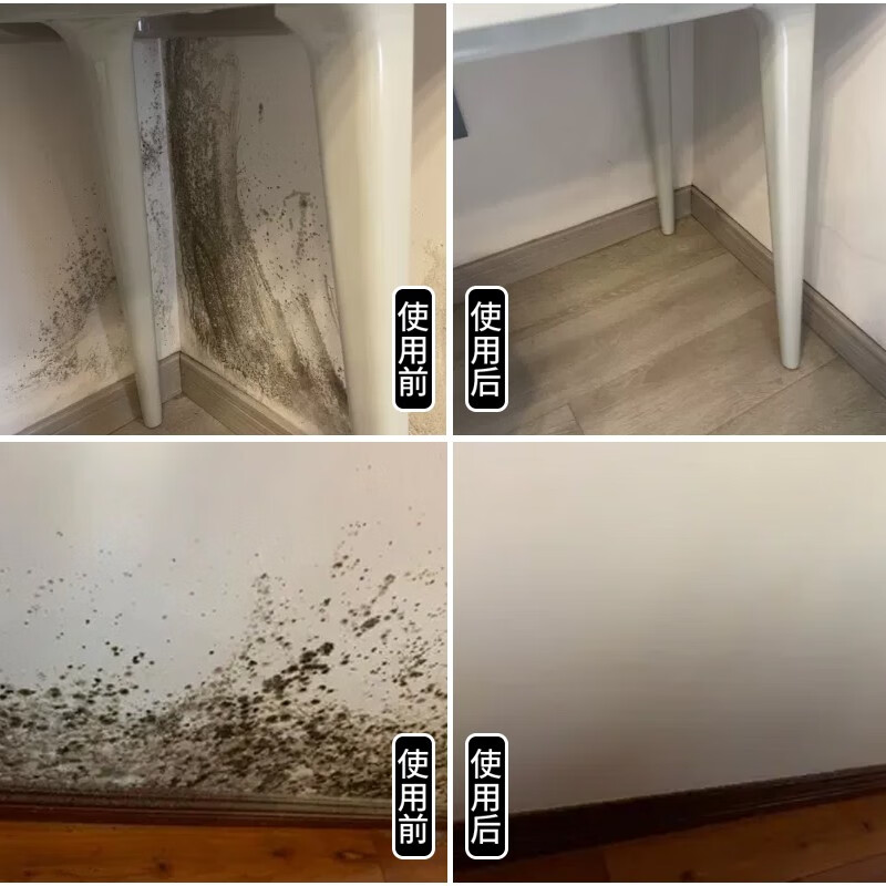 盾王 除霉剂墙体墙面去霉斑霉菌清洁剂家用厨房卫生间去霉防霉喷雾 一瓶装 500ml