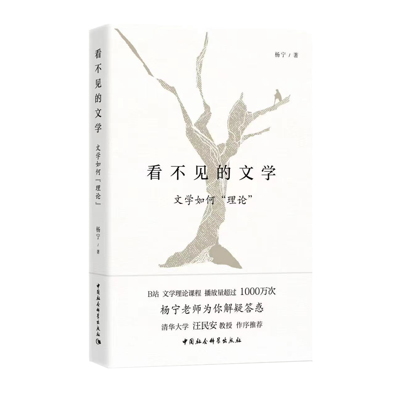 看不见的文学  （文学如何“理论”）网红老师 杨宁 B站播放量超过1000万次