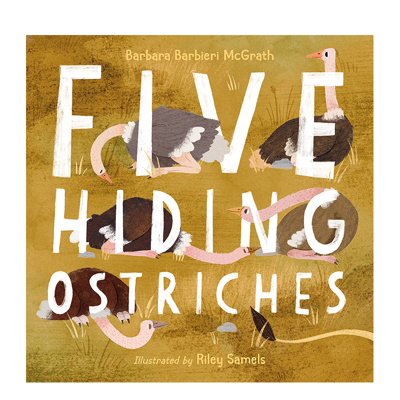 【现货】五只藏起来的鸵鸟 five hiding ostriches 进口原版英文儿童
