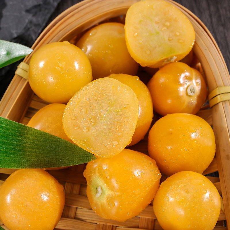 长耕东北黄姑娘果种子真甜大灯笼果种籽春秋四季阳台盆栽蔬菜水果种孑