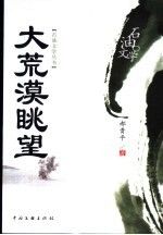 大荒漠眺望