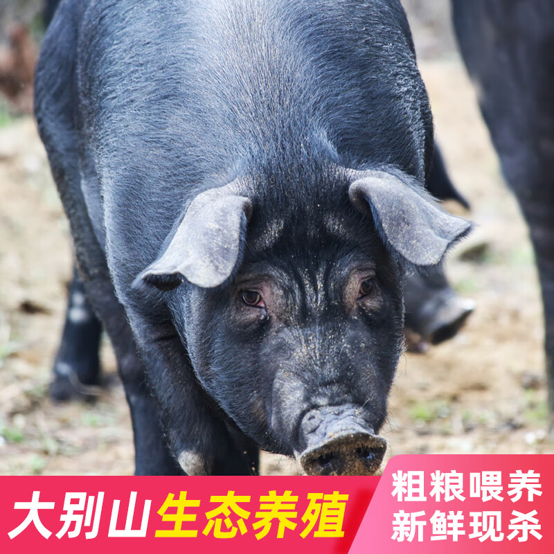 喜乐田园 新鲜土猪肉生鲜1.5kg农家山养猪肉无注水无激素国产 后腿1500g