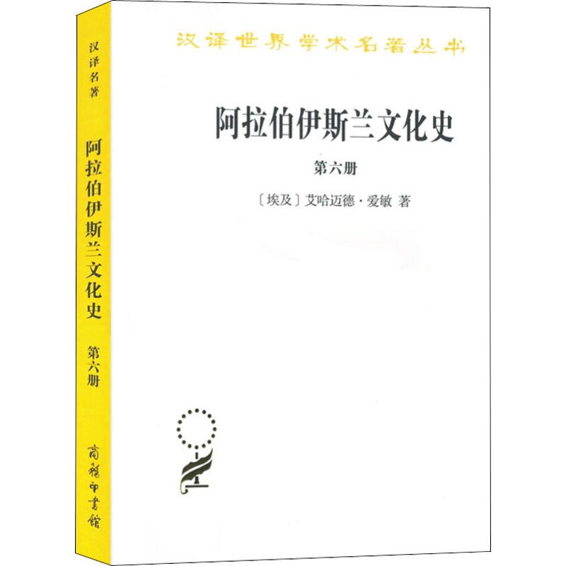 阿拉伯伊斯兰文化史 第6册