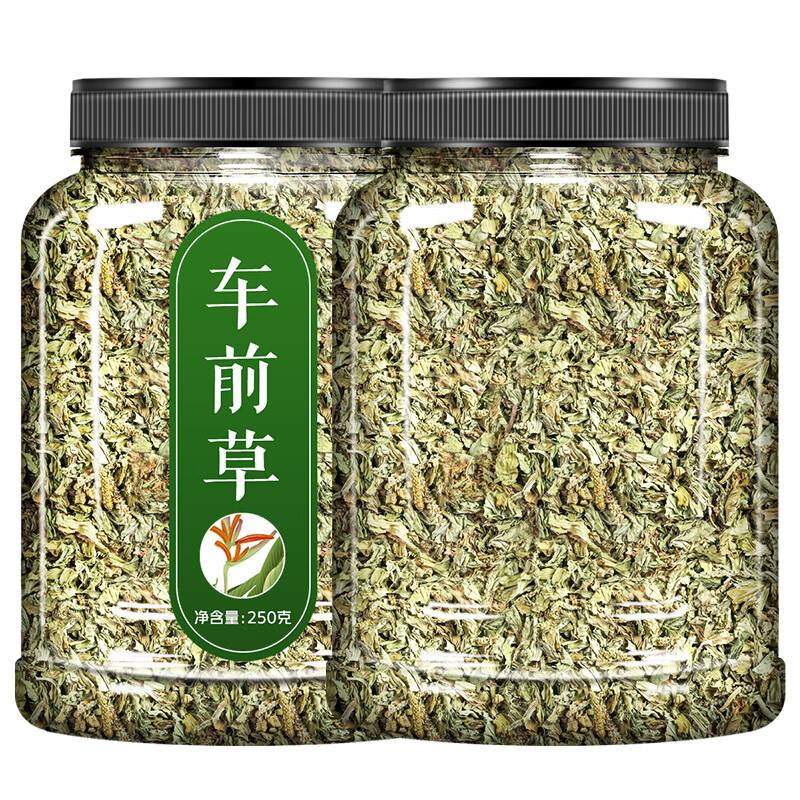 车前草中药材500g车前草袋泡茶干货新鲜车前子金钱草泡茶 2罐车前草