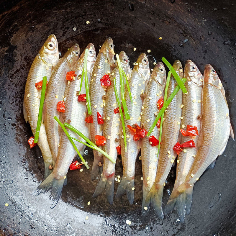 小河鱼新鲜刁子鱼小杂鱼现杀发货小白条刁子餐条鱼500g展志曼智 13.