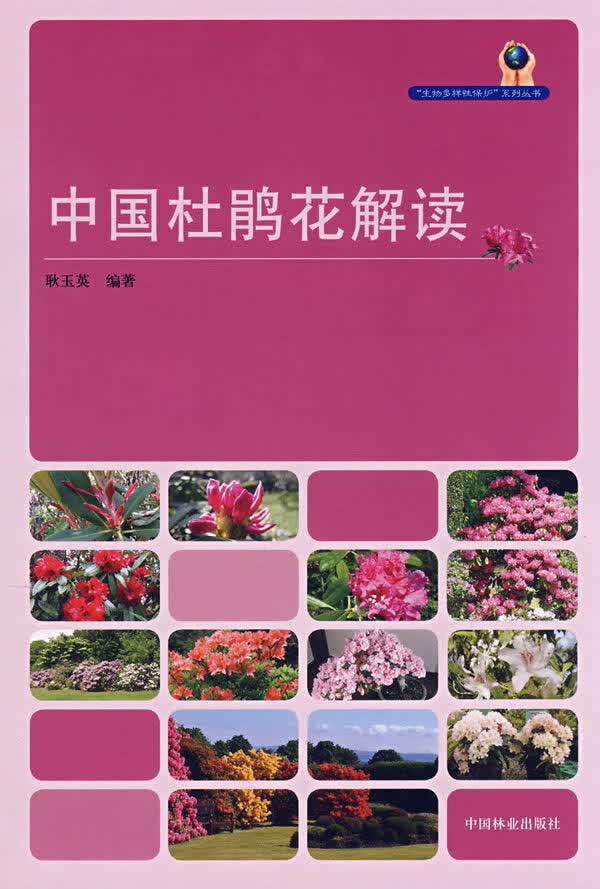 中国杜鹃花解读 农业/林业 书籍
