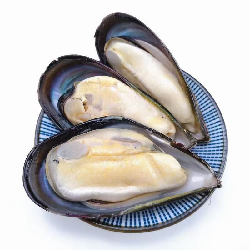 京鲜送半壳冷冻蓝口贝青口贝贻贝鲜冻冻贝壳类海鲜扇贝 青口贝3斤 0g(净重)