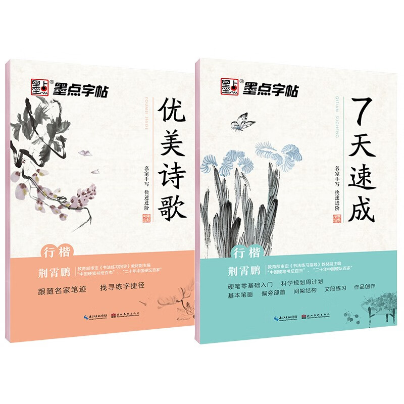 墨点字帖行楷硬笔书法练习字帖2本套装荆霄鹏行楷字帖连笔字字帖学生成人钢笔字帖男女大学生临摹描红手写体