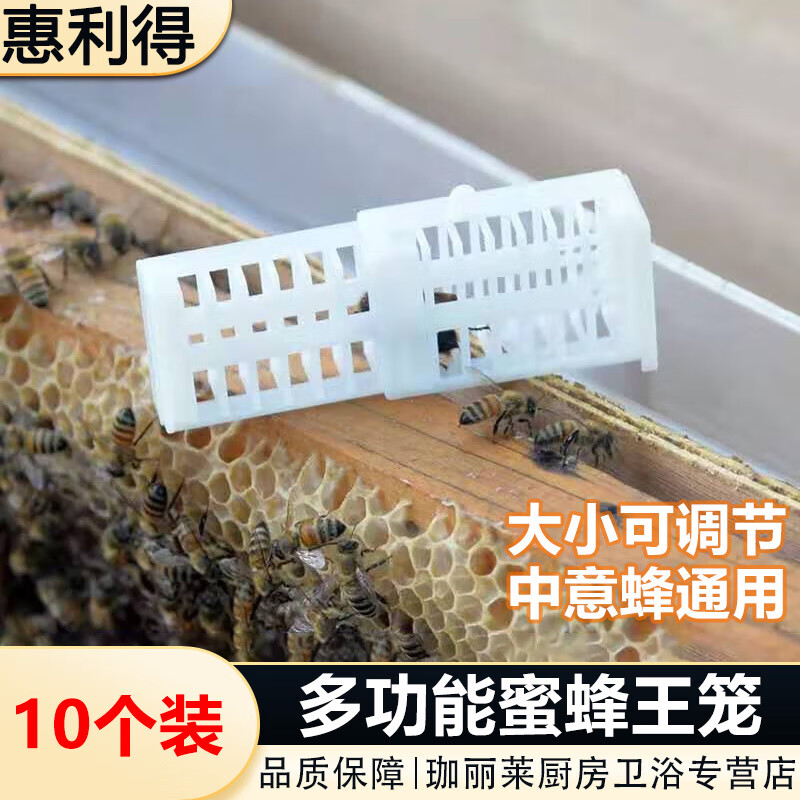 京京蜂王籠多功能塑料蜜蜂王籠中蜂意蜂囚王龍介王籠關(guān)王捉蜜蜂籠蜂具 王籠10個(gè)裝