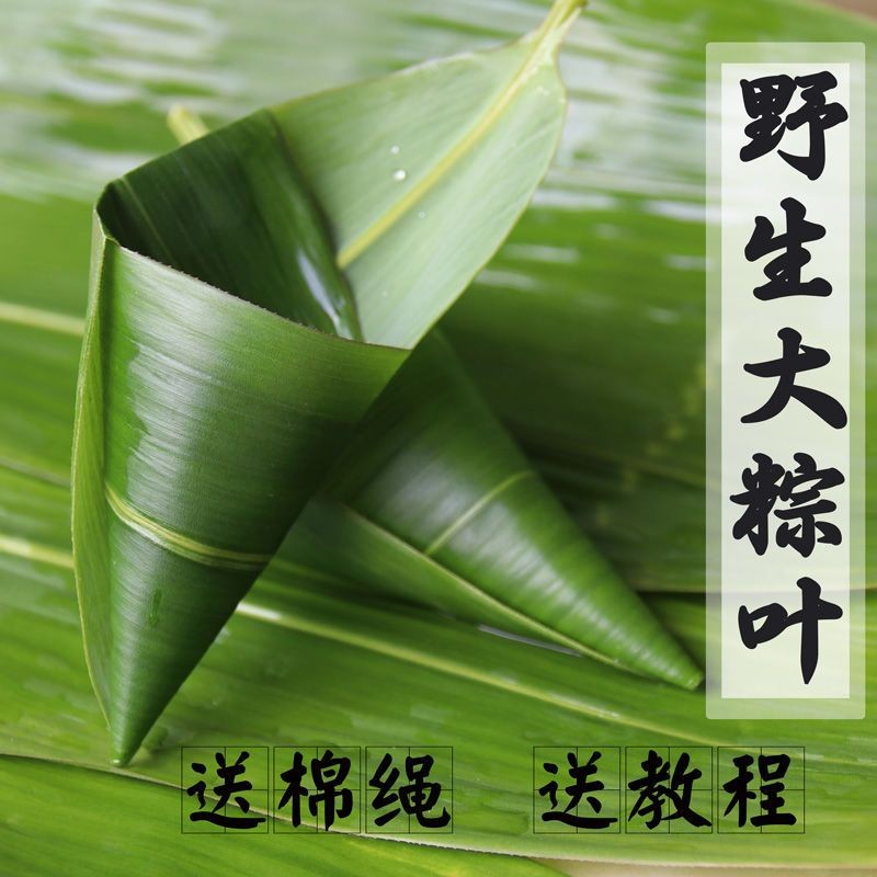 雨幸 新鲜粽叶 箬竹子叶农家新鲜包粽子叶 宽大粽叶 粽子叶100片 大号