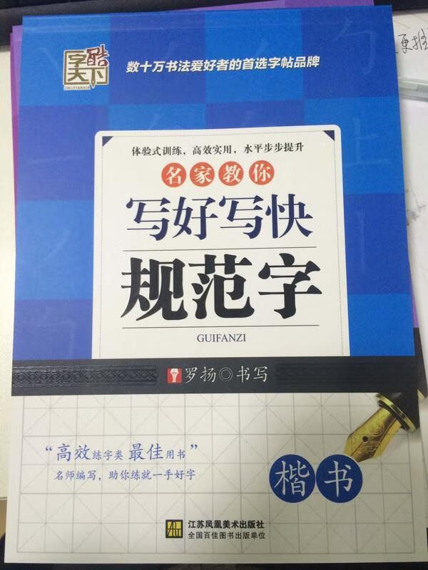 高效练字速成名家教你写好写快规范字楷书 罗扬【正版】