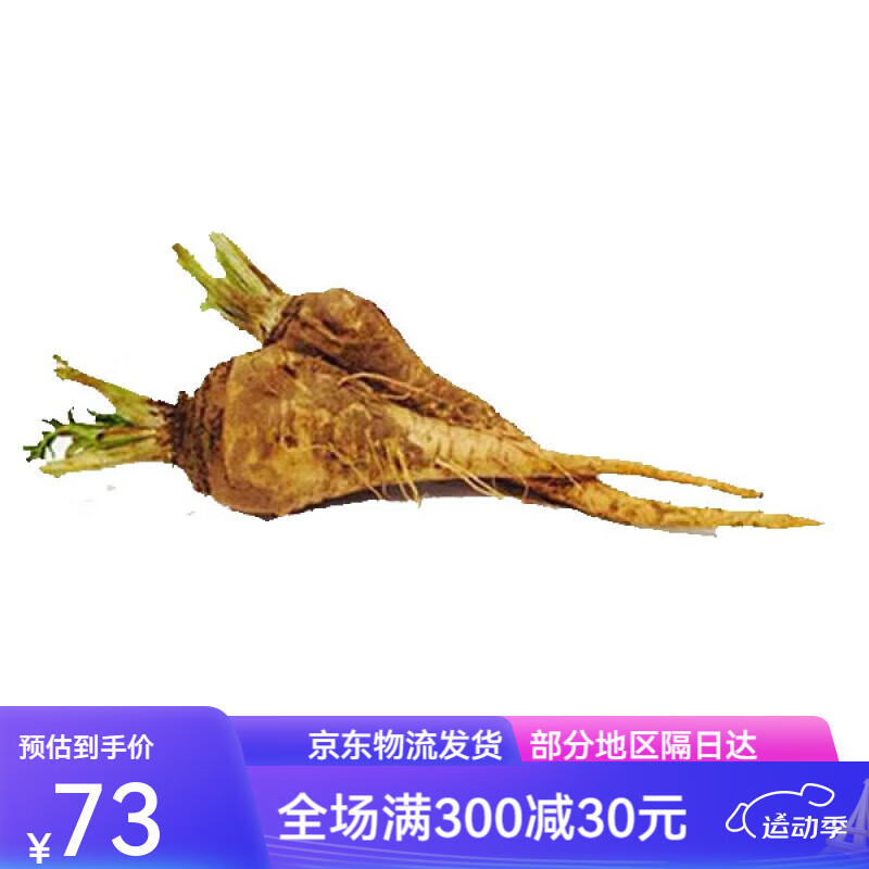 防风根新鲜欧洲萝卜白胡萝卜精品特色蔬菜fresh parsnip多规格 1斤