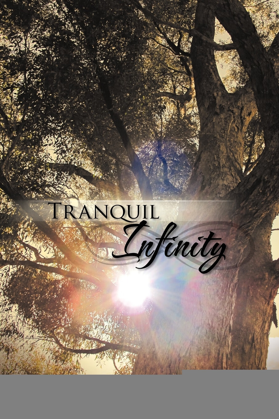 【预售 按需印刷】tranquil infinity