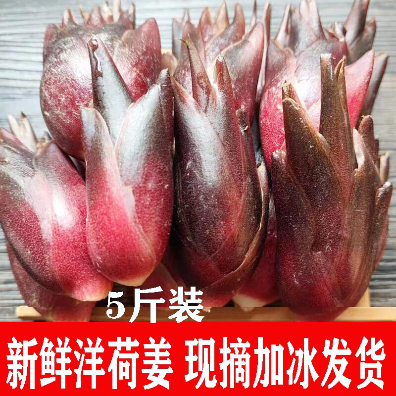 隽辰堂洋荷姜新鲜当季蔬菜阳霍洋火现摘速发贵州特产阳荷姜胡嫩姜阳和
