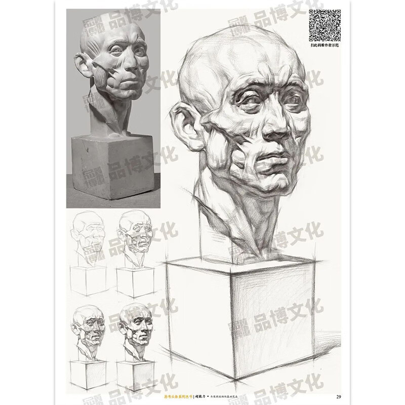 结构基础范本 2022品博文化叶虎头像基础局部五官人物素描头像临摹