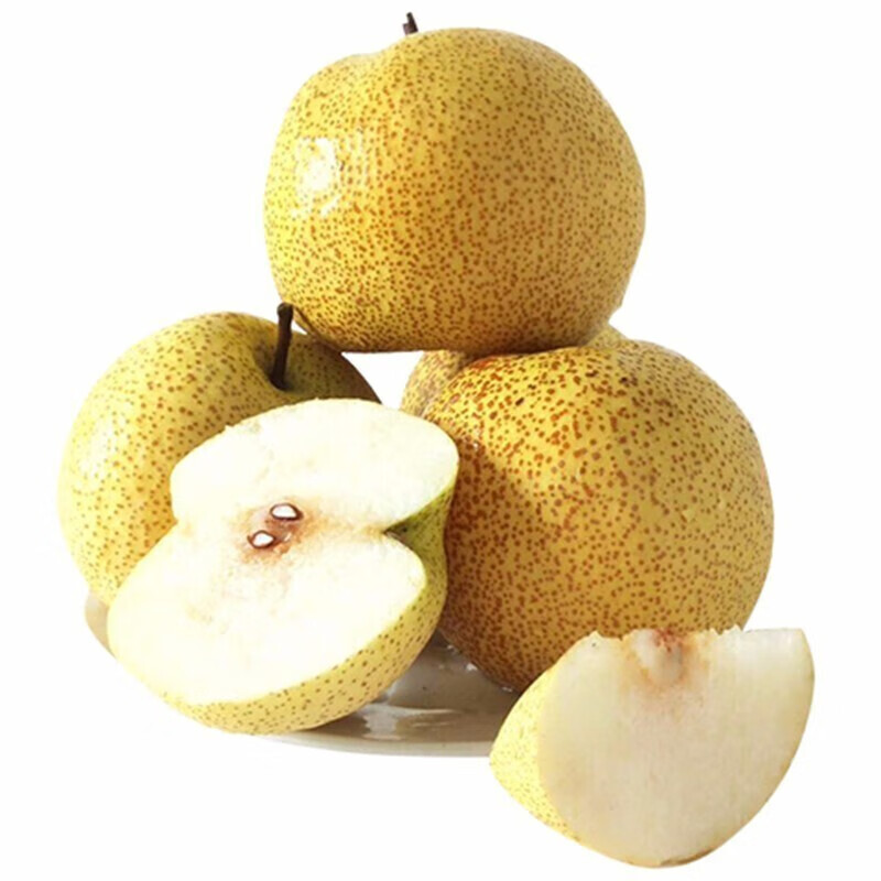 特级雪梨水果新鲜正宗雪花梨赵县整箱梨子大果河北当季 精选装3斤