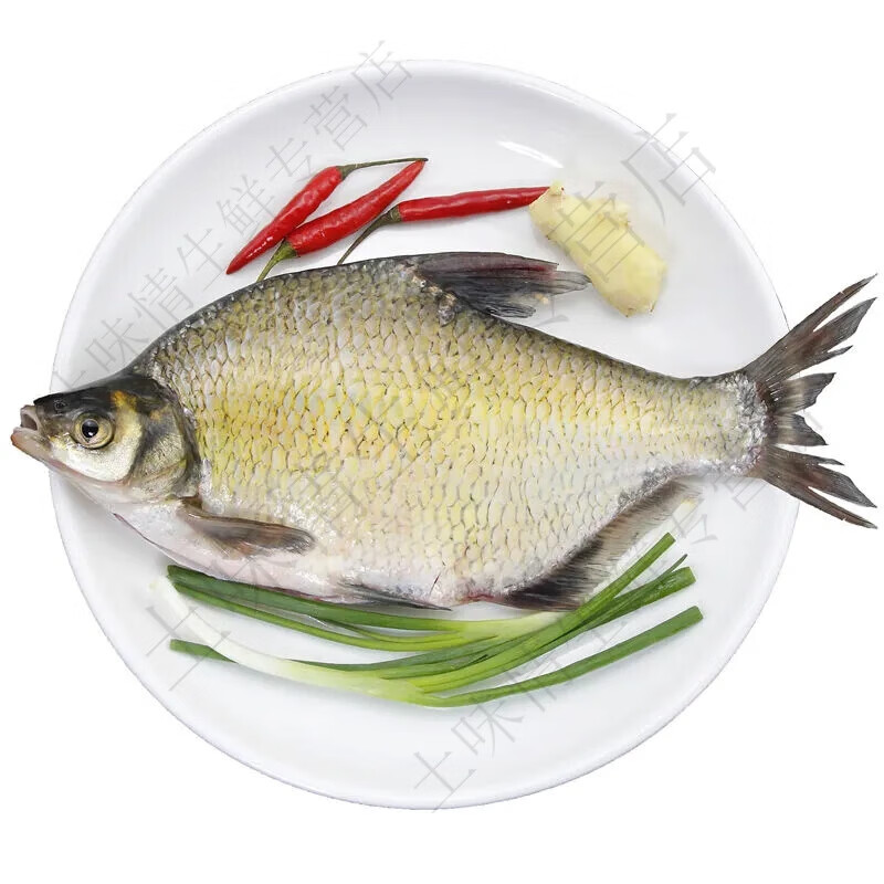 京乐狳鳊鱼新鲜湖北特产淡水武昌鱼活鲜现杀新鲜鳊鱼即食真空武汉扁