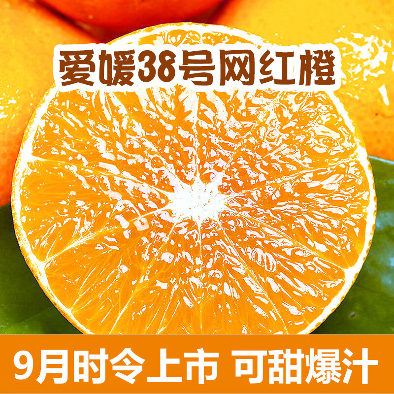 京东超市 2021-09-28 - 第26张 | 最新购物优惠券 京东超市 2021-09-28 - 第26张 | 最新购物优惠券