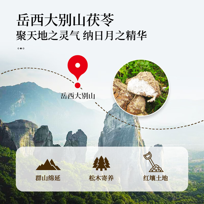 同仁堂(TRT)茯苓新货白茯苓块中药材茯苓丁可打粉泡水煲汤材料养生茶 茯苓300g