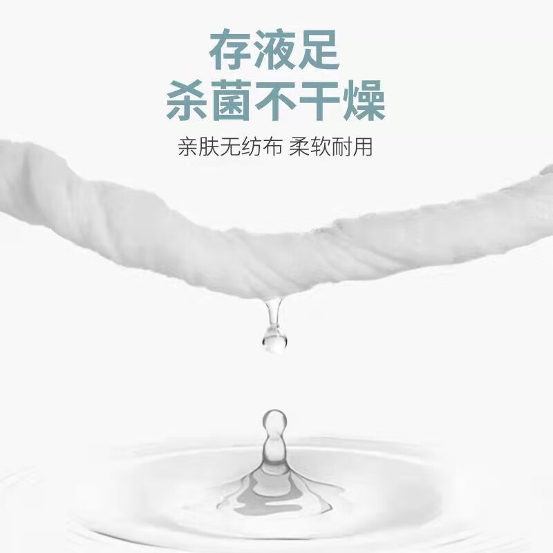 韩泊莉（HANBOLI）美妆工具 75%酒精消毒湿巾大包家用带盖杀jun清洁剂湿纸巾 7包装