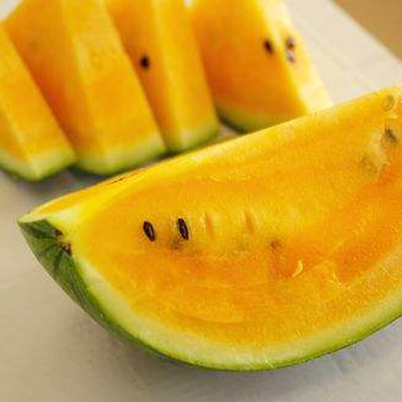 种菜记西瓜种子黄壤橙肉彩虹黑美人礼品瓜种籽黑皮西瓜菜园易种蔬菜