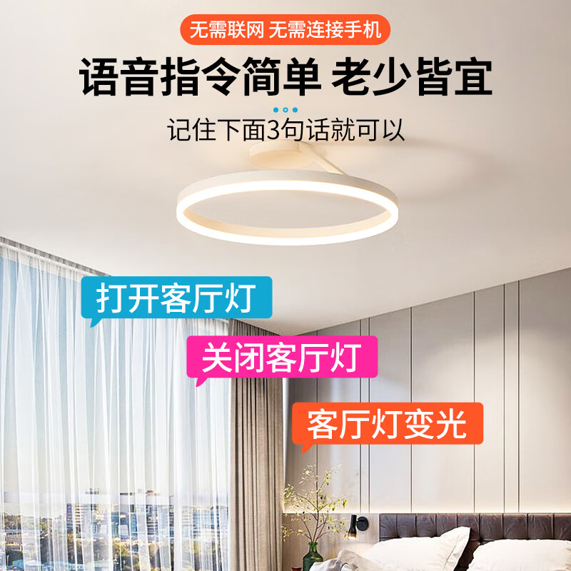 国际电工智能语音指令控制开关离线声控无线识别遥控模块无需联网自动灯控 离线语音开关模块【5只装】