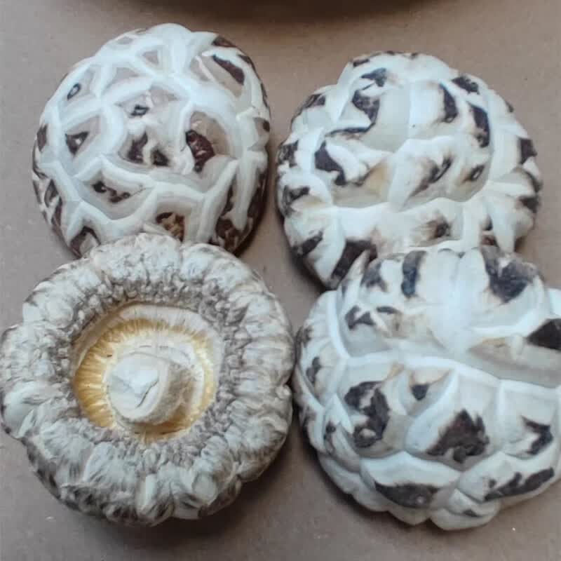 白花菇干货500g剪脚大小香菇冬菇农家新货特产肉厚蘑菇 500g