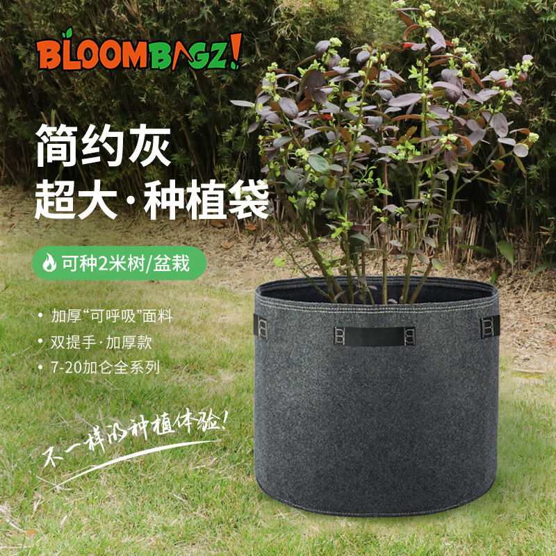Bloombagz大号种树袋控根环保透气大花盆种植袋果树盆葡萄盆生长袋15加仑灰
