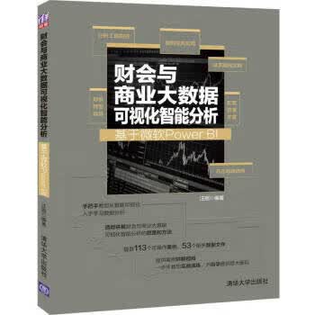 财会与商业大数据可视化智能分析：基于微软Power BI【正版好书，下单速发】