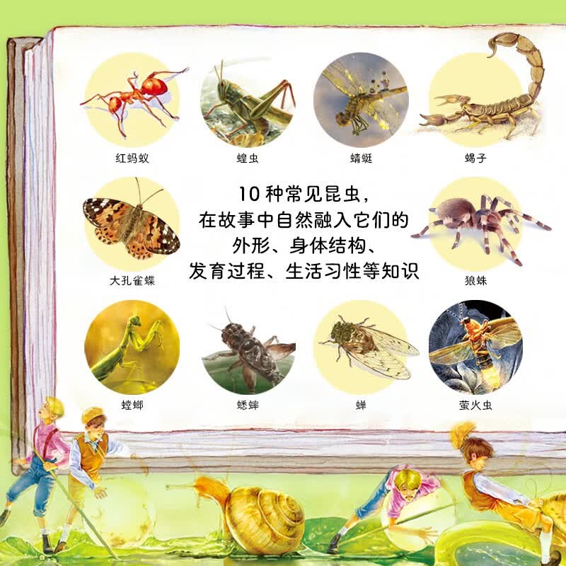 昆虫记·注音科学探索版：全10册详情图