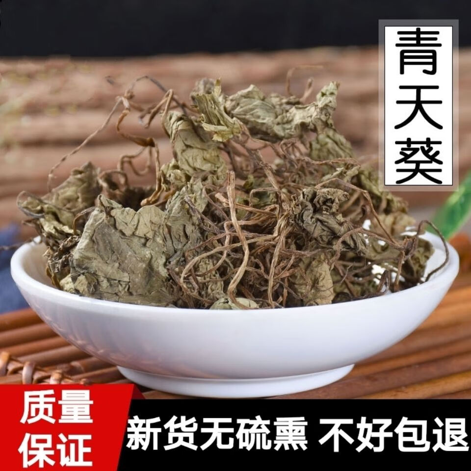 青天葵中药材独脚天揆珍珠叶半边伞晴天葵坠千斤独叶莲榈树花 [青天葵