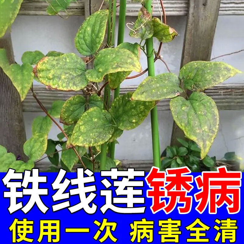 锈病立枯白娟烂根盆栽土壤夹子肥料专用肥 铁线莲病害清【10瓶装】