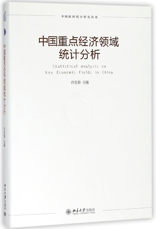 中国重点经济领域统计分析(精)/中国政府统计研究丛书