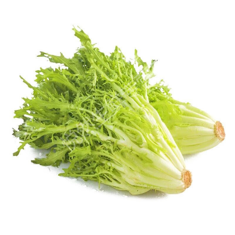 苦苣 苦细叶狗芽菜苦叶生菜苦苣沙拉菜 火锅食材 500g