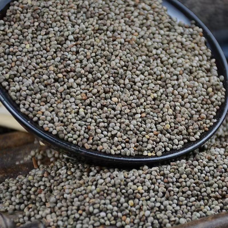 i新货贵州酥麻引子苏籽油性酥麻引子酥麻引子酥麻引子 5斤装