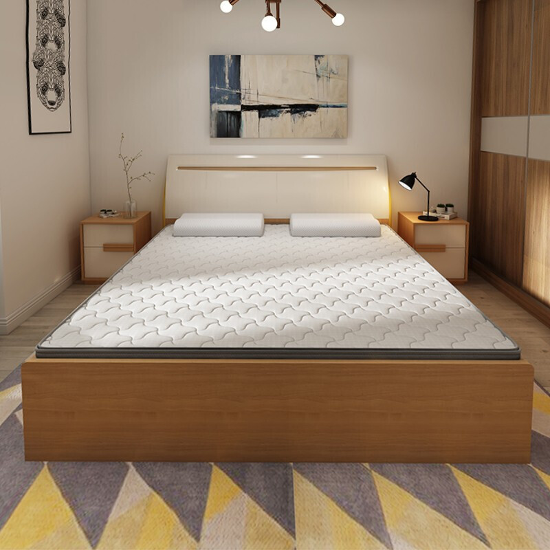 生态 椰棕床垫卧室榻榻米棕垫18米15环保自然椰棕垫 1.8米款