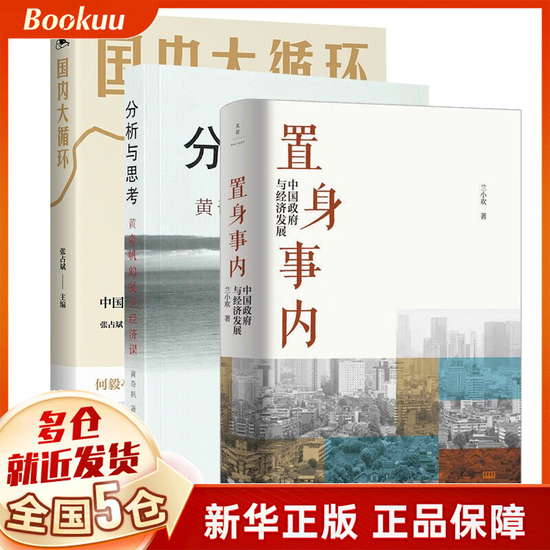 【现货】置身事内 中国政府与经济发展 兰小欢著 +分析与思考+国内大循环【中国经济系列书3册】