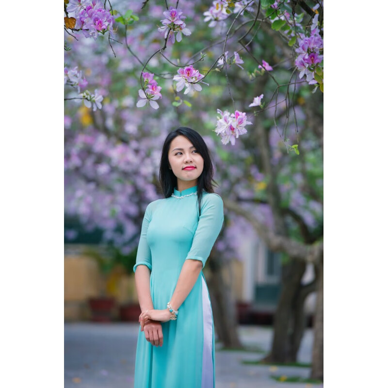 fengedun越南奥黛旗袍裙服装女装飘逸裙学生装校服高端乱麻长款修身