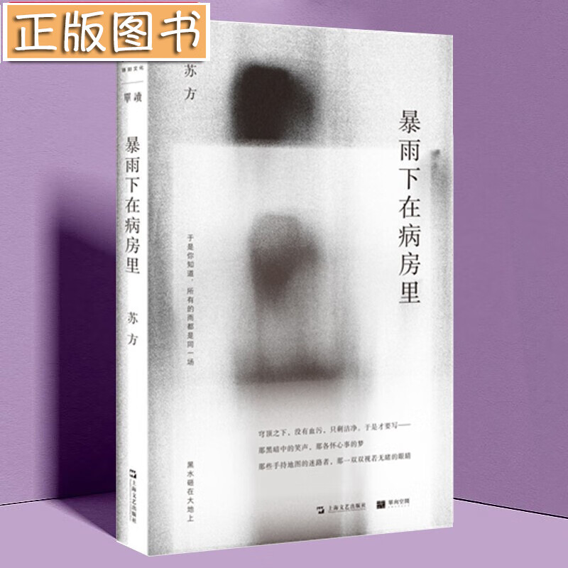 【新书现货】暴雨下在病房里 苏方短篇小说集 单读书系 上海文艺出版社 《一些时刻》《异乡记》