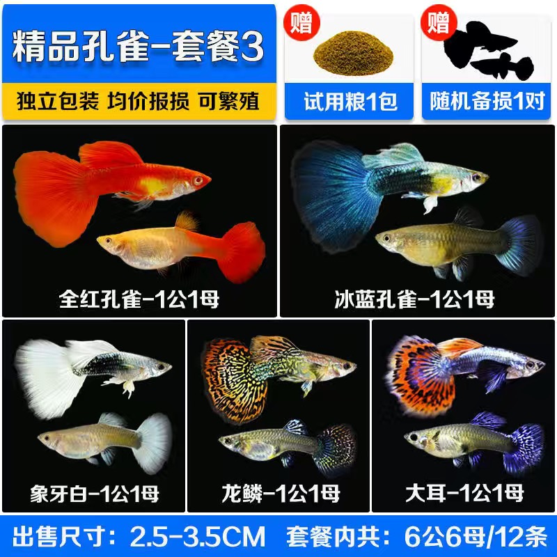 如何查看水族活体的历史价格|水族活体价格走势图