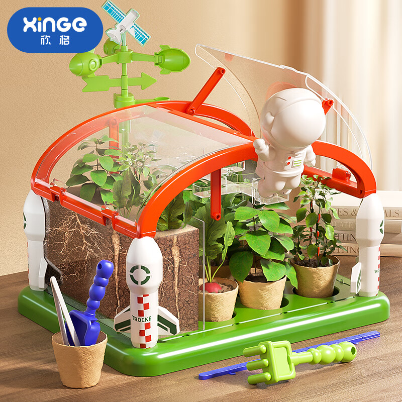欣格儿童种植阳光房玩具植物观察窗6-10岁小学生diy手工制作种菜花房