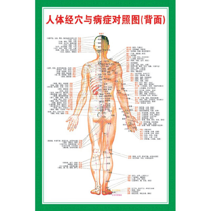 中医养生人体经络穴位图大挂图全身高清穴位艾灸推拿背部针灸海报 002